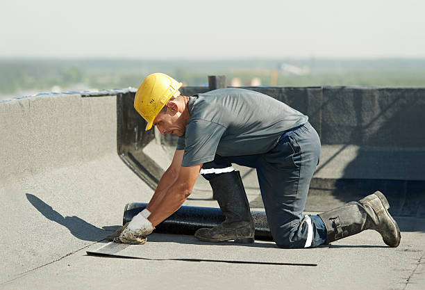 Best Attic Insulation Near Me  in Temperance, MI